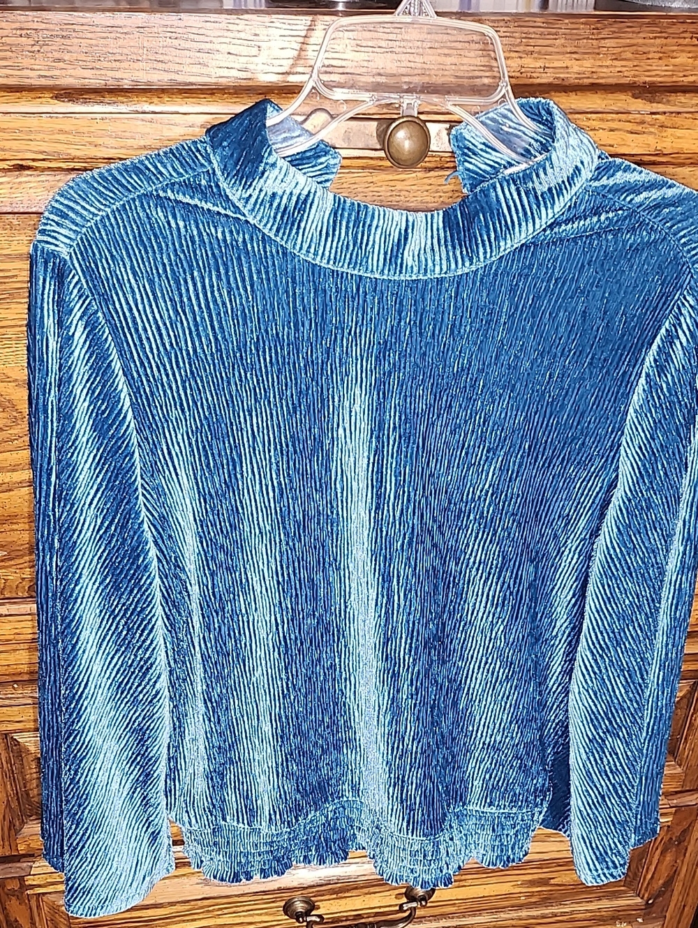 Crinkle Velvet Long Sleeve Mock Neck Top